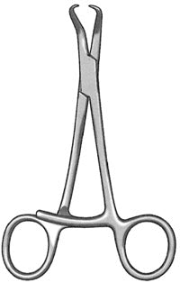 Stagbeetle Forceps